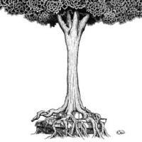 �yMAXI�zNO �`���̐Ղɍ炢���ԁ`(�ʏ��)(�}�L�V�V���O��)