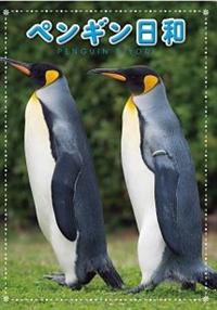 �y���M�����a