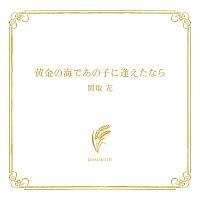 �����̊C�ł��̎q�Ɉ������Ȃ�