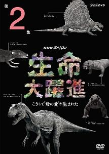 NHKスペシャル 生命大躍進 第2集 | 宅配DVDレンタルの