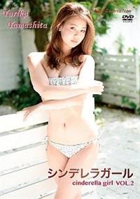 �V���f�����K�[���@�u�n�k�D�Q