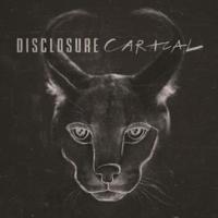 CARACAL (DLX)