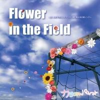 �yMAXI�zFlower in the Field(�}�L�V�V���O��)