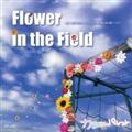 �yMAXI�zFlower in the Field(�}�L�V�V���O��)