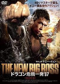 �h���S���@��@�ꔭ�f�X�V