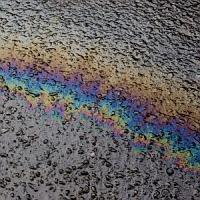 �C���E�T�C�`��