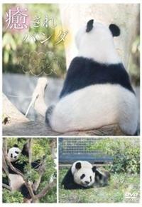 ������p���_�@�`���[���[�ƃV���V���`