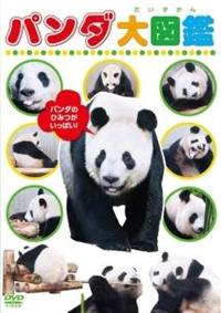 �p���_��}��