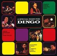 �X�y�V�����E�i�C�g�E�t�H�[�E�g�f�B���S�h