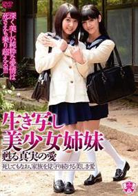 �����ʂ��������o���@�S��^���̈�