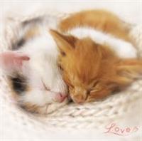 �܂邲��!����