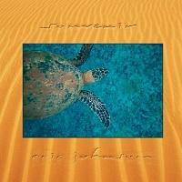 �X�[���F�j�[��