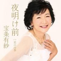 �yMAXI�z�閾���O(�}�L�V�V���O��)