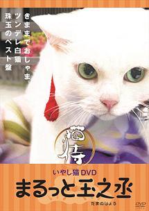 いやし猫DVD 猫侍 まるっと玉之丞 | 宅配DVDレンタルの