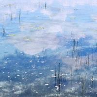 �X�J�C�E�u���[�E����