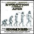 Evolution From Apes