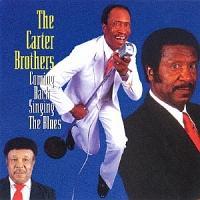 �J�~�� �o�b�N �V���M�� �U �u���[�X