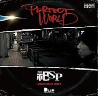 PERFECT WORLD