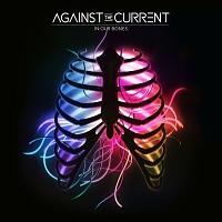IN OUR BONES