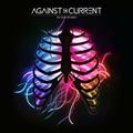 IN OUR BONES