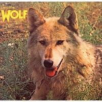 �J�j�X�E���[�v�X +2