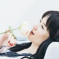 ��������2-��t�̂���(�ʏ��)