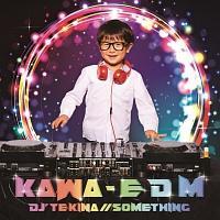 KAWA - E D M/DJ'TEKINA//SOMETHING̉摜EWPbgʐ^