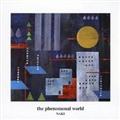 The Phenomenal World