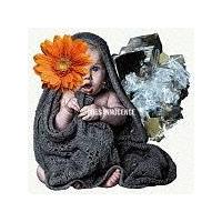 INNOCENCE(�ʏ��)