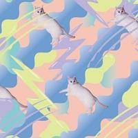 �yMAXI�z�˂��̋C�܂���(�}�L�V�V���O��)