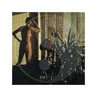 �閾���̃_���T�[