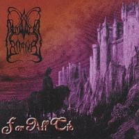 �Í��̋{�a+���C��!!