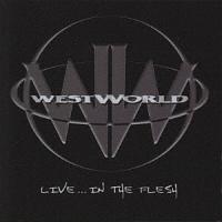 ���C��!�c�C���E�U�E�t���b�V��