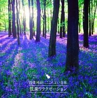 �����_�o�ɂ������悢���y�`���y�����N�[�[�V�����`