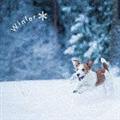 ܂邲!~ -Winter-