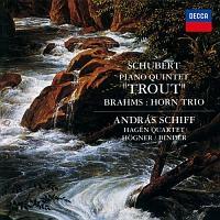 �V���[�x���g:�s�A�m�܏d�t�ȁ�܂��� �u���[���X:�z�����O�d�t��