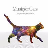 �˂��̂��߂̉��y �` Music For Cats