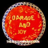 �A�rDAMAGE AND JOY