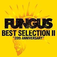 BEST SELECTION II �`20th ANNIVERSARY�`