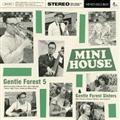 MINI HOUSE