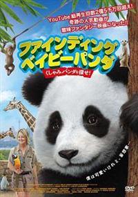 �t�@�C���f�B���O�@�x�C�r�[�@�p���_�@������݃p���_��T���I