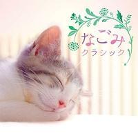 Ȃ݃NVbN