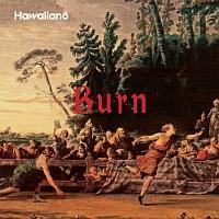 �yMAXI�zBurn(�}�L�V�V���O��)