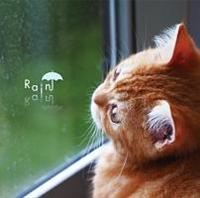 �܂邲��!�J�̓�