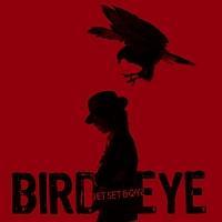 �o�[�h�A�C(�ʏ��)