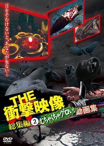 ＴＨＥ 衝撃映像 総集編（２） むちゃくちゃグロい！動画集 | 宅配DVD 