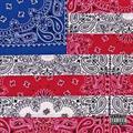 ALL-AMERIKKKAN BADA$$