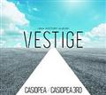 VESTIGE -40th HISTORY ALBUM-�yDisc.1&Disc.2�z