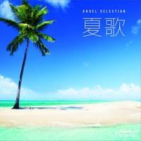 �I���S�[���E�Z���N�V���� �ĉ�