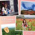 Qtravelogue `̉S 5`